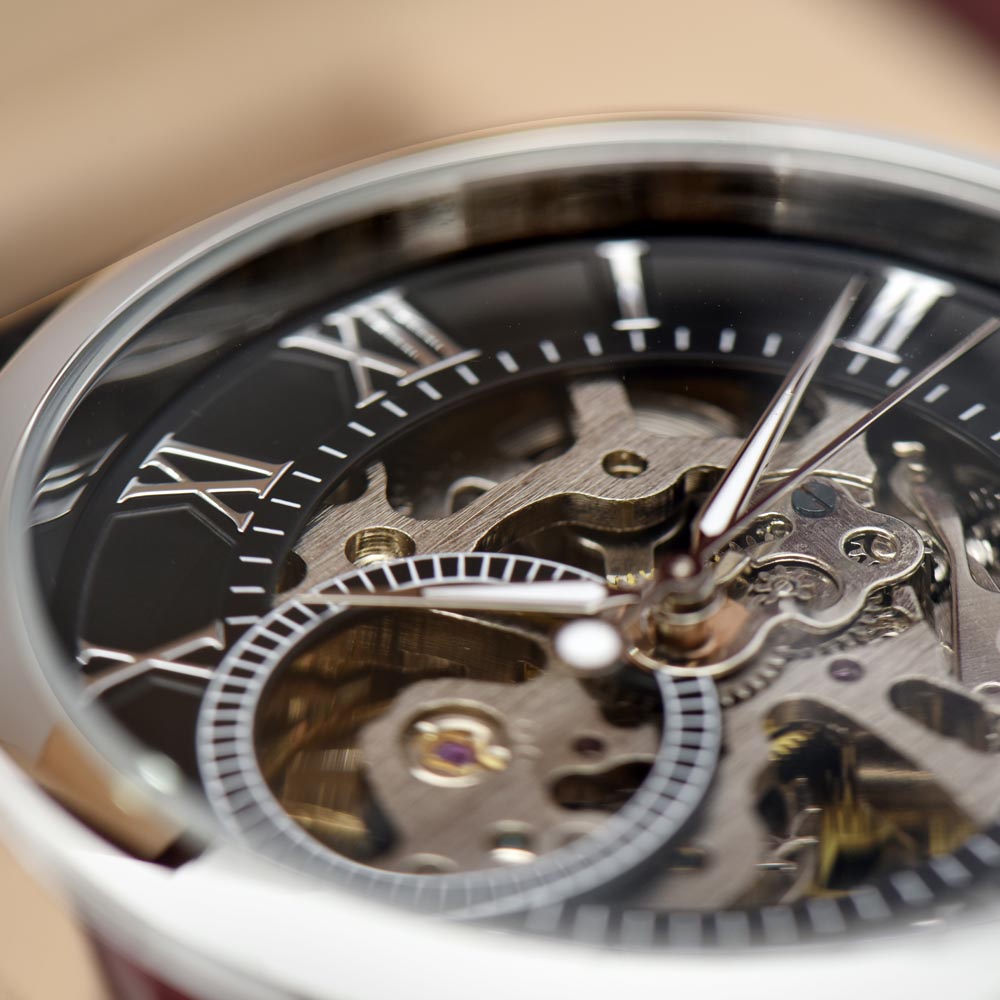 Automatic Skeleton Watch for Men, Self-Winding, Steel Case with Luxury LED Box