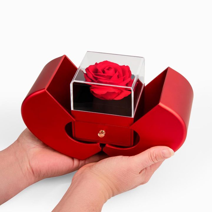 Solitaire Necklace in Everlasting Rose Heart Box